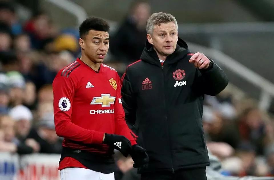 济性十足的 济性十足的